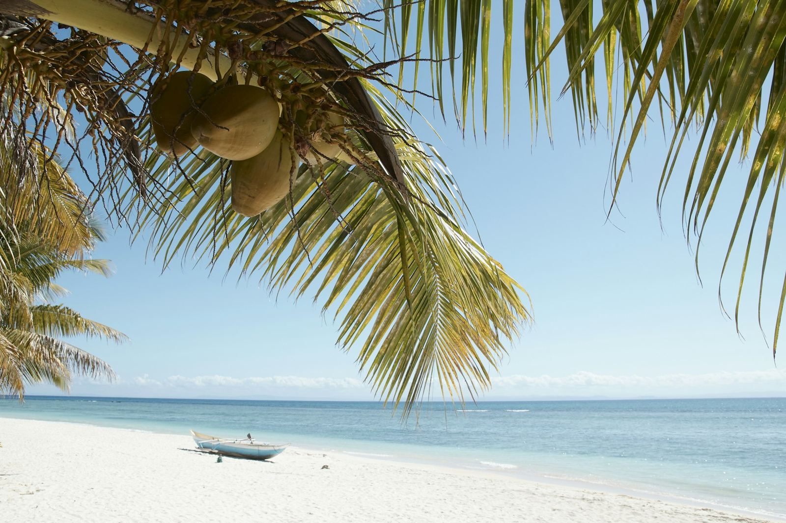 Plage de l'île aux Nattes sous les cocotiers