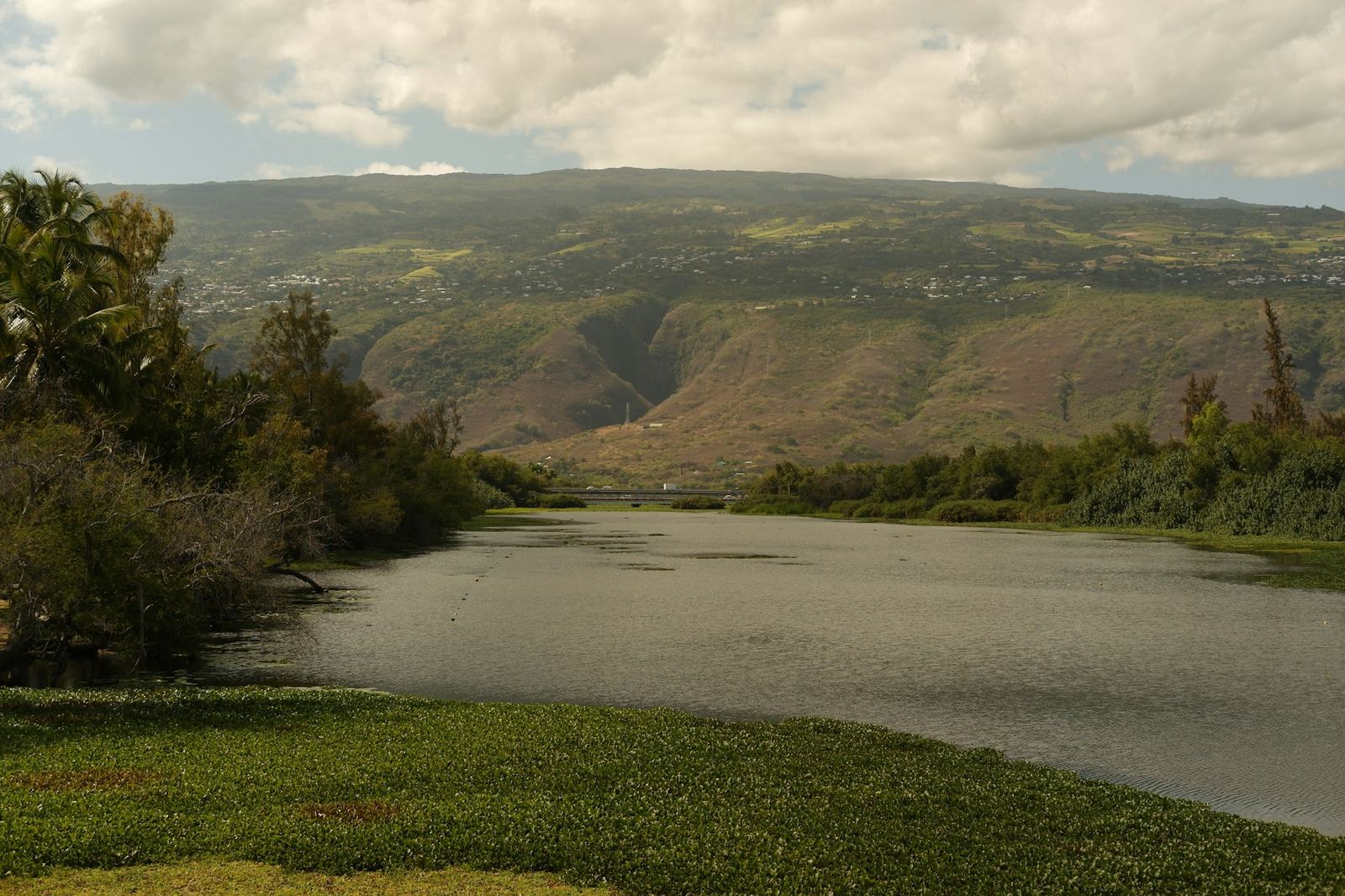 L'étang de Saint-Paul, La Réunion